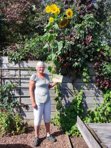 2023-zonnebloem-winnaar.jpg