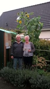 zonnebloempitten-winnaar-2015.jpg